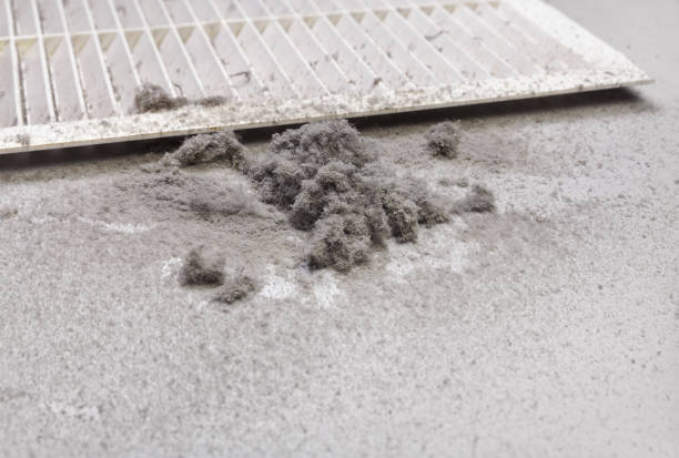 Home Air Vent Cleaning in Seffner, FL