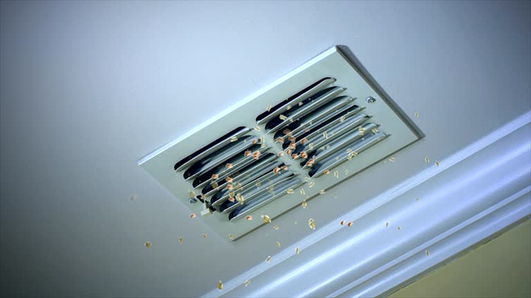 Best Ductwork Cleaning Services  in Seffner, FL