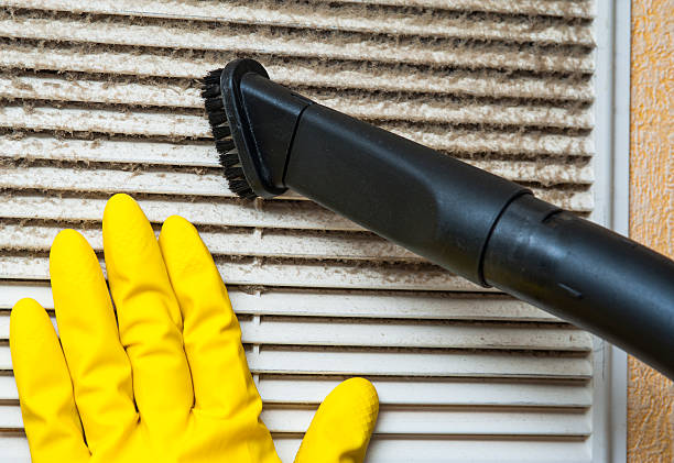 Best HVAC Air Duct Cleaning  in Seffner, FL